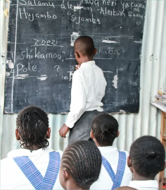 Education and Capacity Building